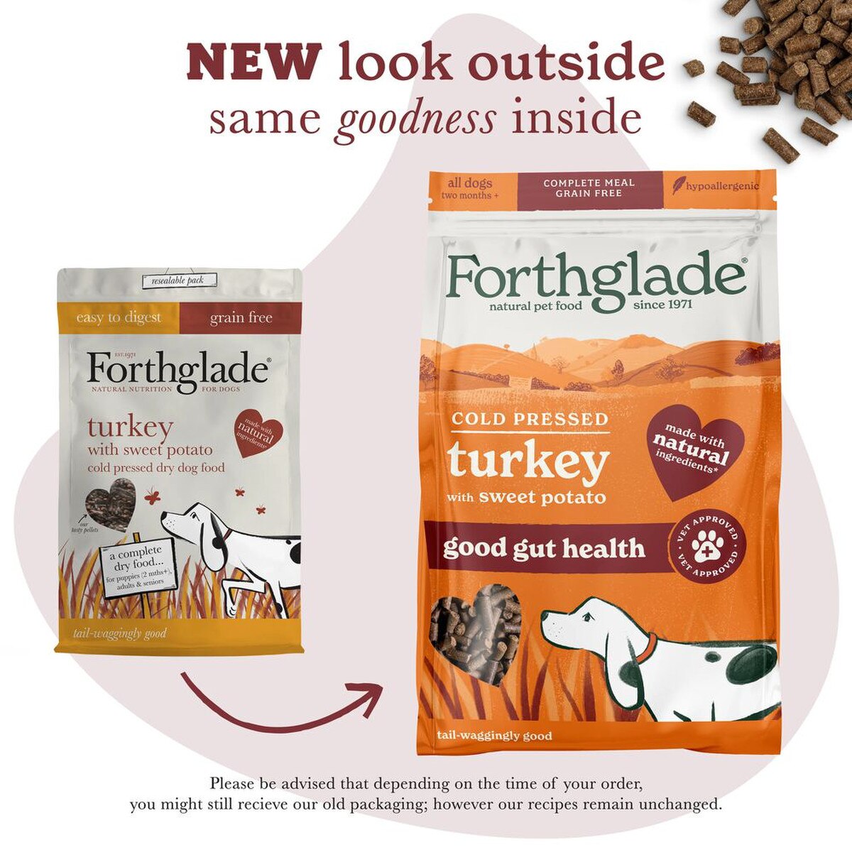 Forthglade Turkey Food 10kg Next Day Delivery by 7pm